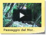 Passaggio del Morello